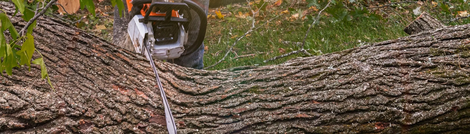 banner2 Tree Removal